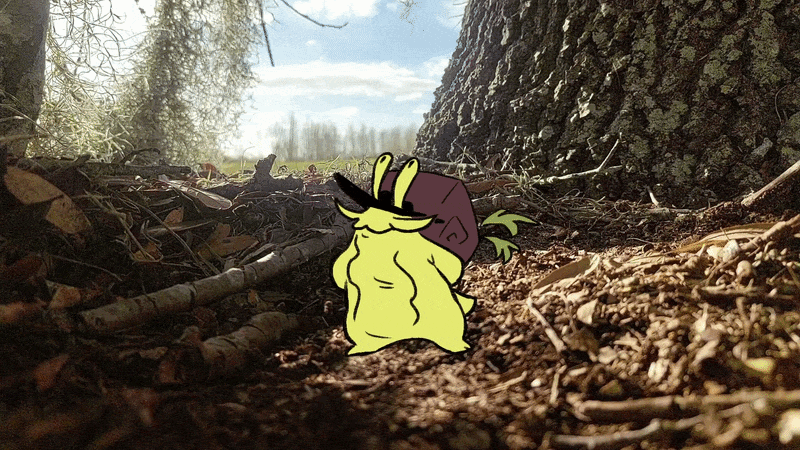 Rough Animation of my character Gloopert the snail, from a student project